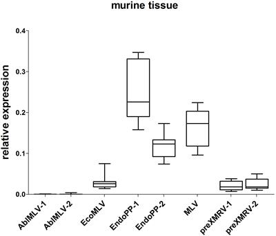 Murine Endogenous Retroviruses Are Detectable in Patient-Derived Xenografts but Not in Patient-Individual Cell Lines of Human Colorectal Cancer